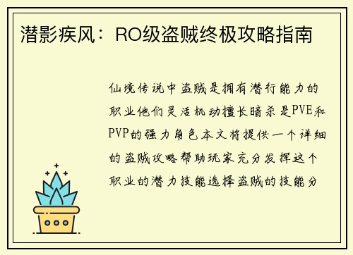 潜影疾风：RO级盗贼终极攻略指南